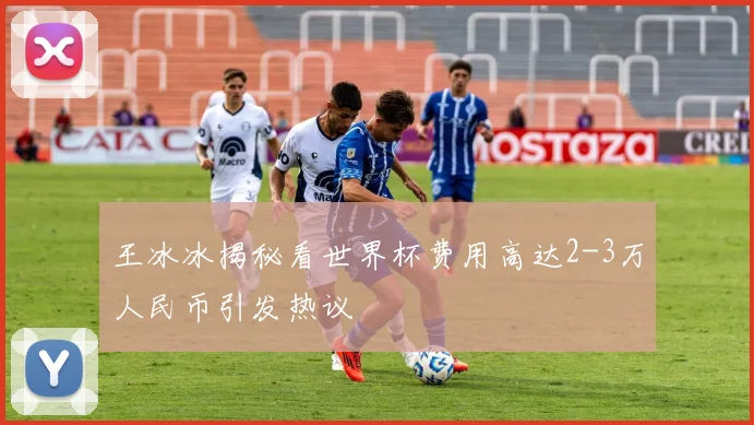 王冰冰揭秘看世界杯费用高达2-3万人民币引发热议